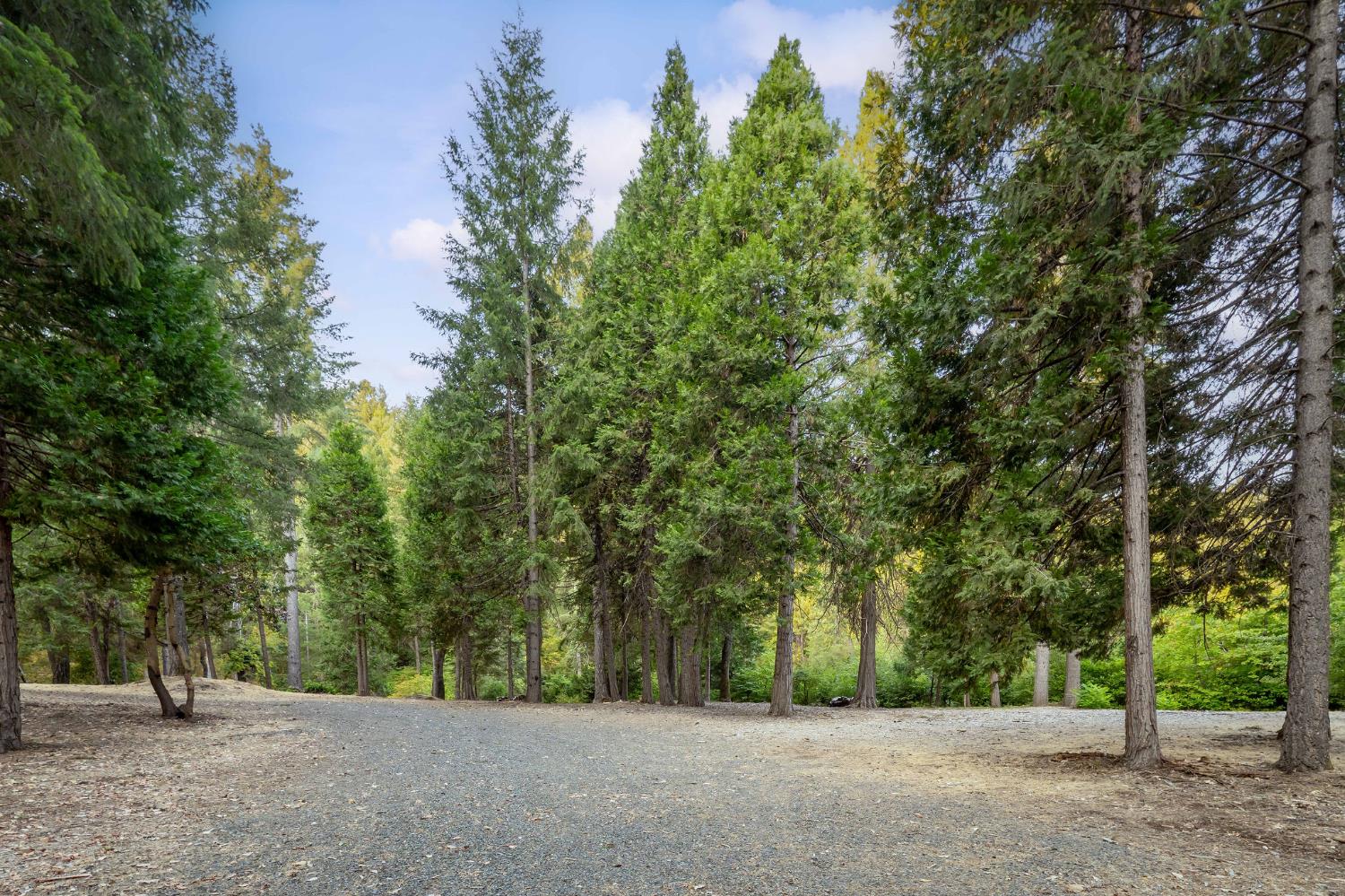 10623 Yearling Road Nevada City, CA 95959 - Photo 40 of 59 a view of outdoor space with trees