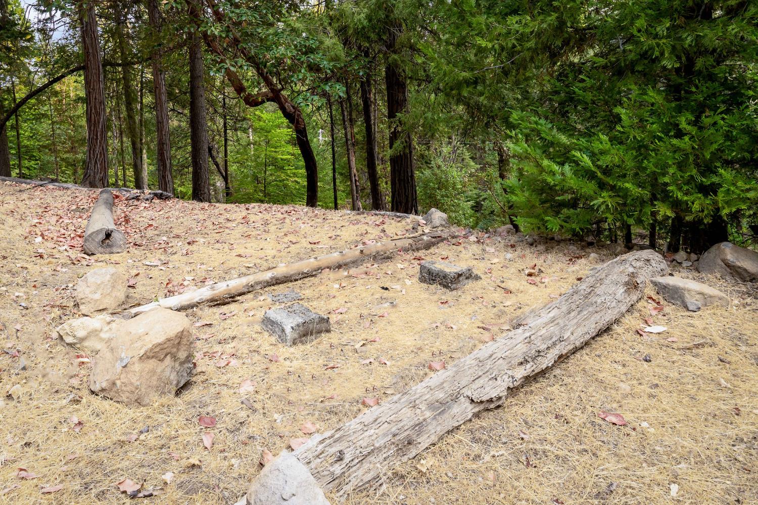 10623 Yearling Road Nevada City, CA 95959 - Photo 43 of 59 a view of a yard with trees