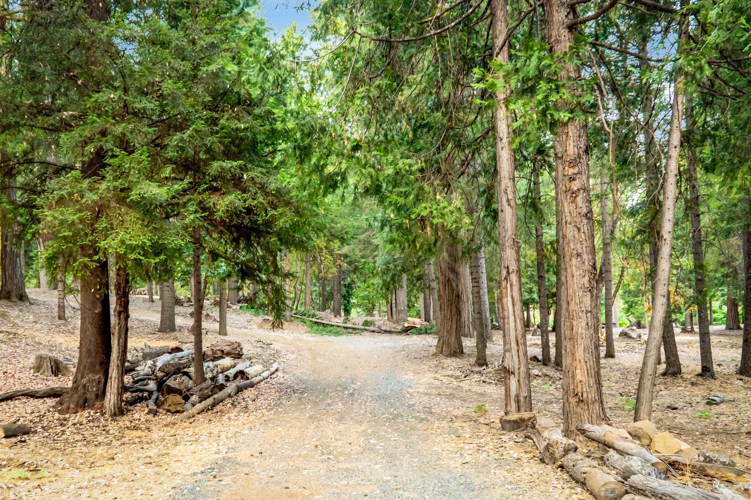 10623 Yearling Road Nevada City, CA 95959 - Photo 50 of 59 a view of a outdoor space with trees