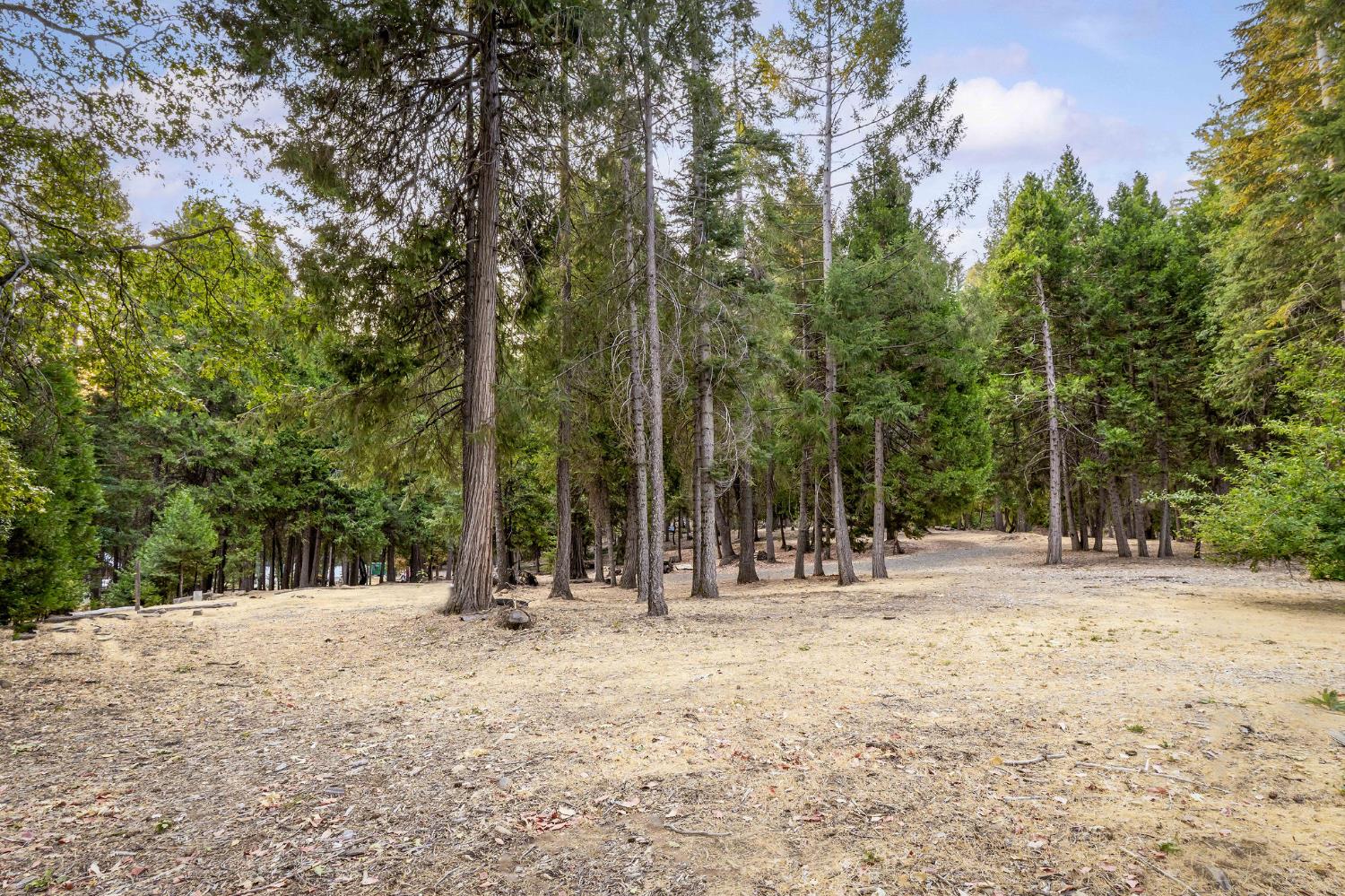 10623 Yearling Road Nevada City, CA 95959 - Photo 52 of 59 a view of outdoor space with trees