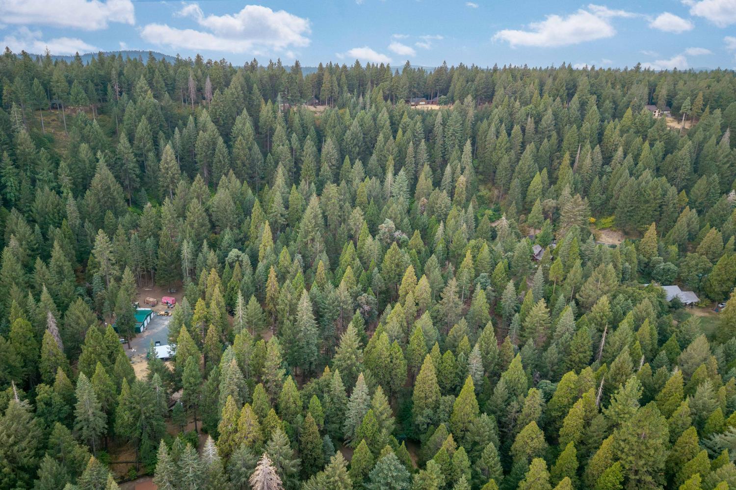 10623 Yearling Road Nevada City, CA 95959 - Photo 56 of 59 a view of a green field with lots of bushes