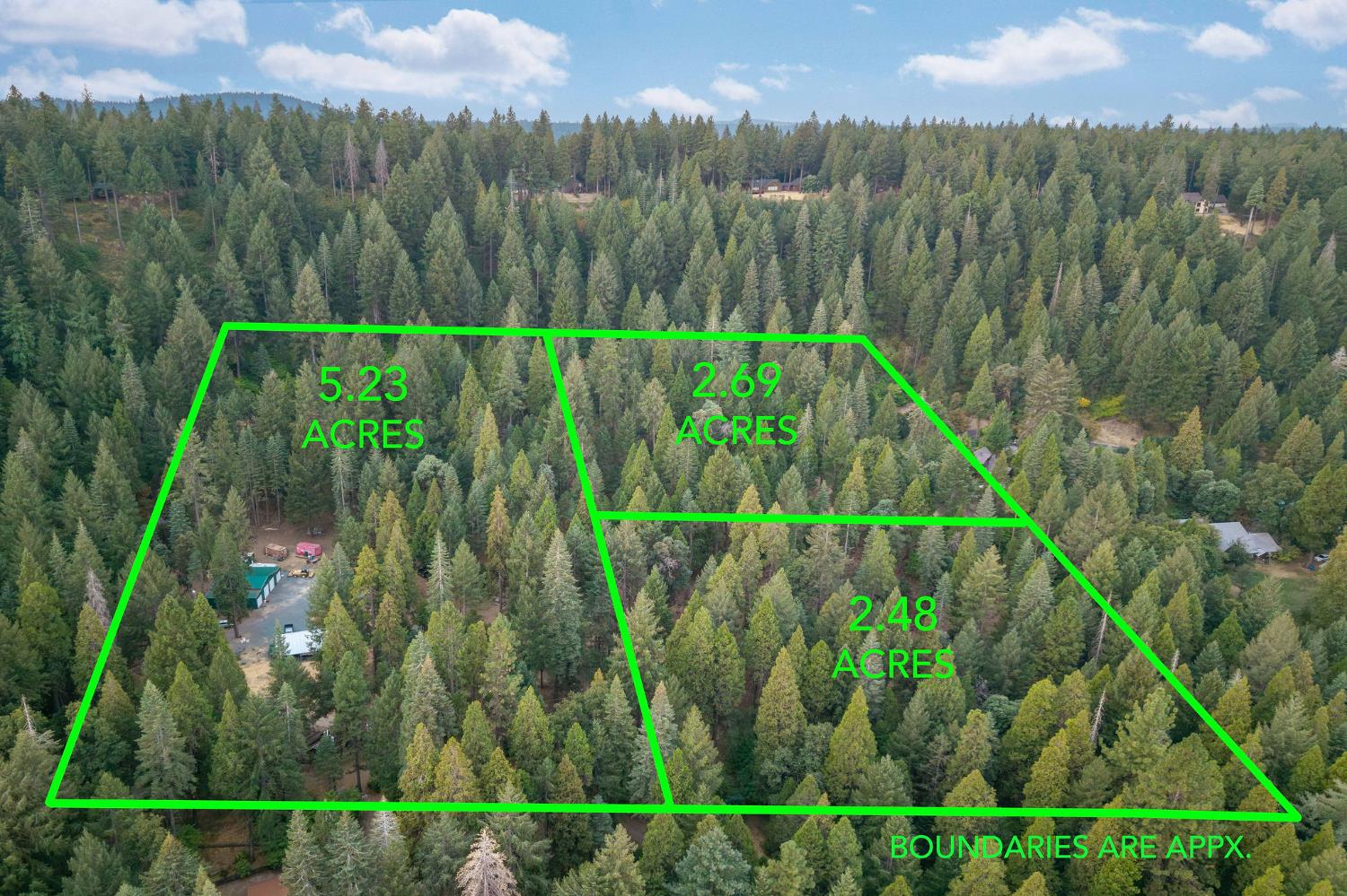 10623 Yearling Road Nevada City, CA 95959 - Photo 57 of 59 a view of a yard with a tree