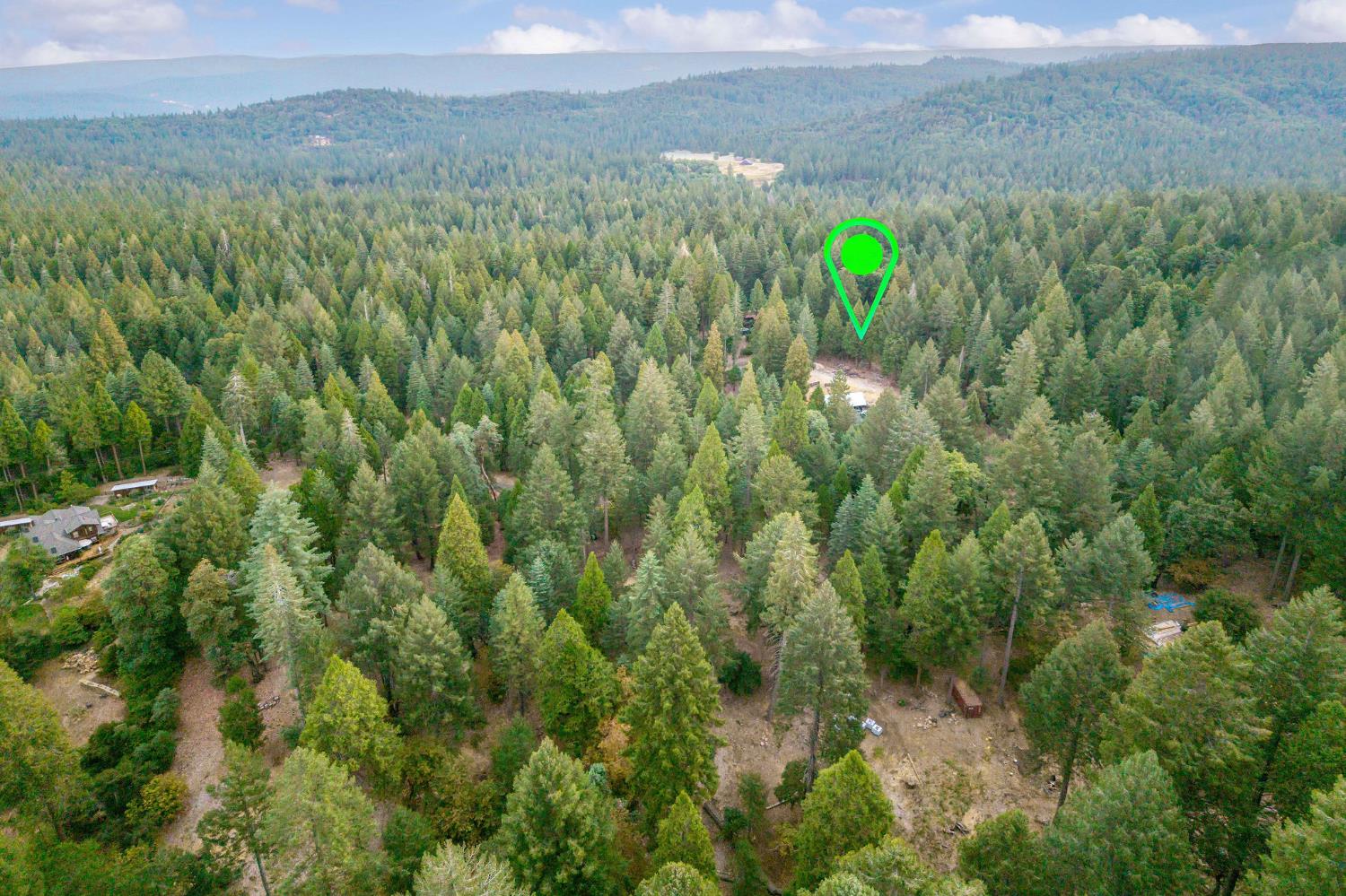 10623 Yearling Road Nevada City, CA 95959 - Photo 58 of 59 a view of a lush green forest with trees and some houses