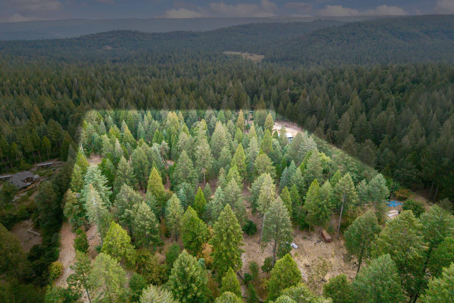 10623 Yearling Road Nevada City, CA 95959 - Photo 59 of 59 a view of an outdoor space and a yard