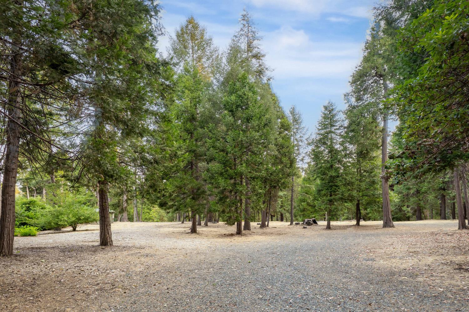10623 Yearling Road Nevada City, CA 95959 - Photo 10 of 59 a view of a road with trees in the background