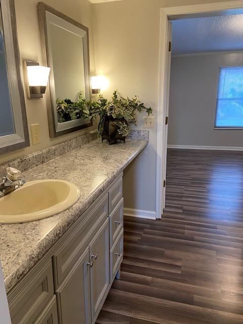 2060 Morgans Mill Road Goodview, VA 24095 - Photo 9 of 15 Master bath