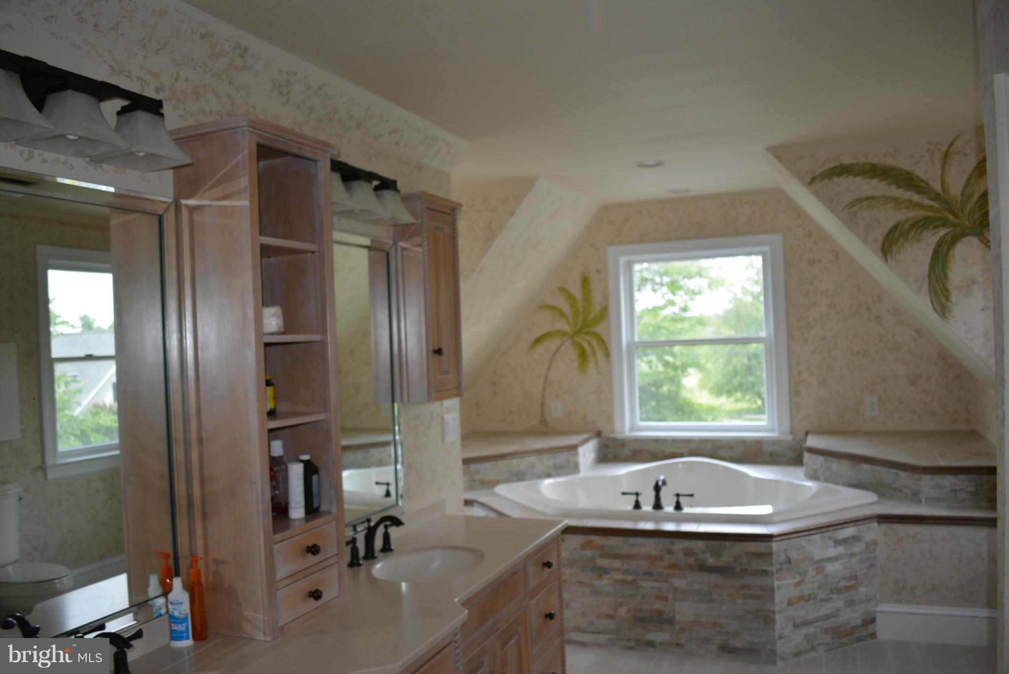 633 Budds Landing Road Warwick, MD 21912 - Photo 13 of 24 Bath (Master)