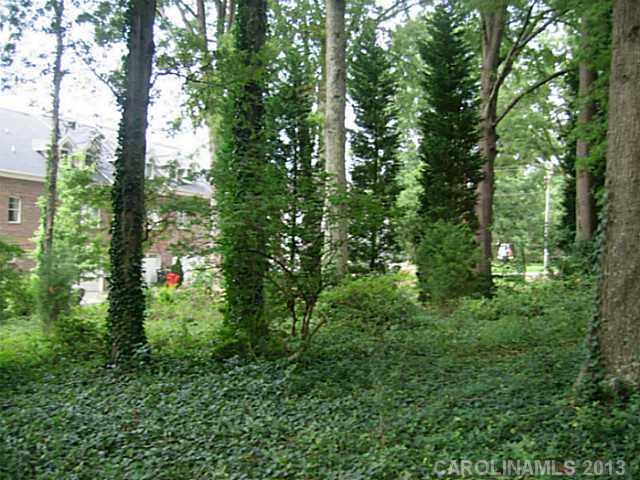 429 Spring Street Davidson, NC 28036 - Photo 2 of 4 Gallery Image 2
