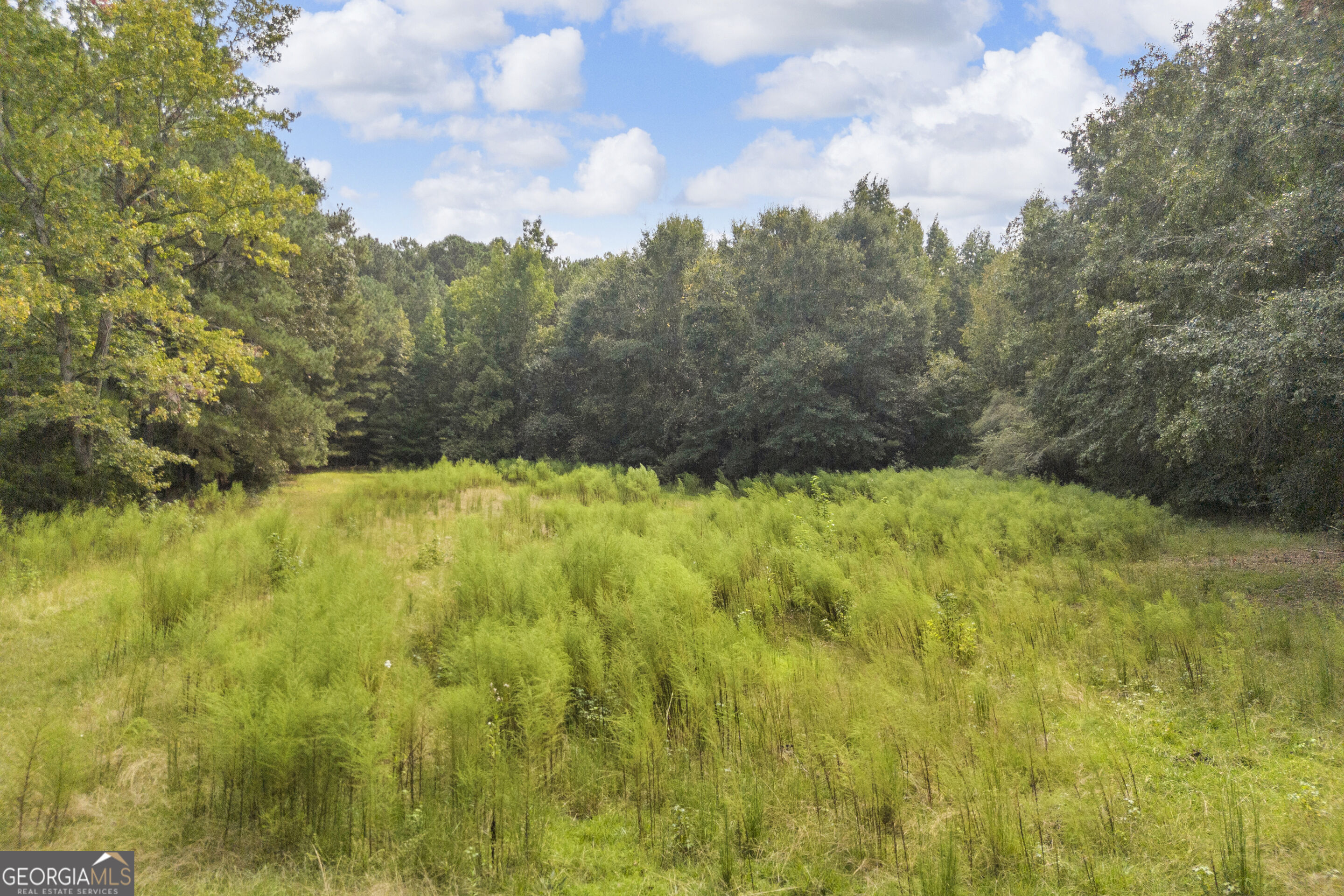 0 Wesley Chapel Road Greensboro, GA 30642 - Photo 6 of 57 Gallery Image 6