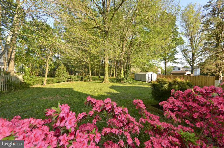 413 Course Street Northeast Vienna, VA 22180 - Photo 21 of 28 Backyard