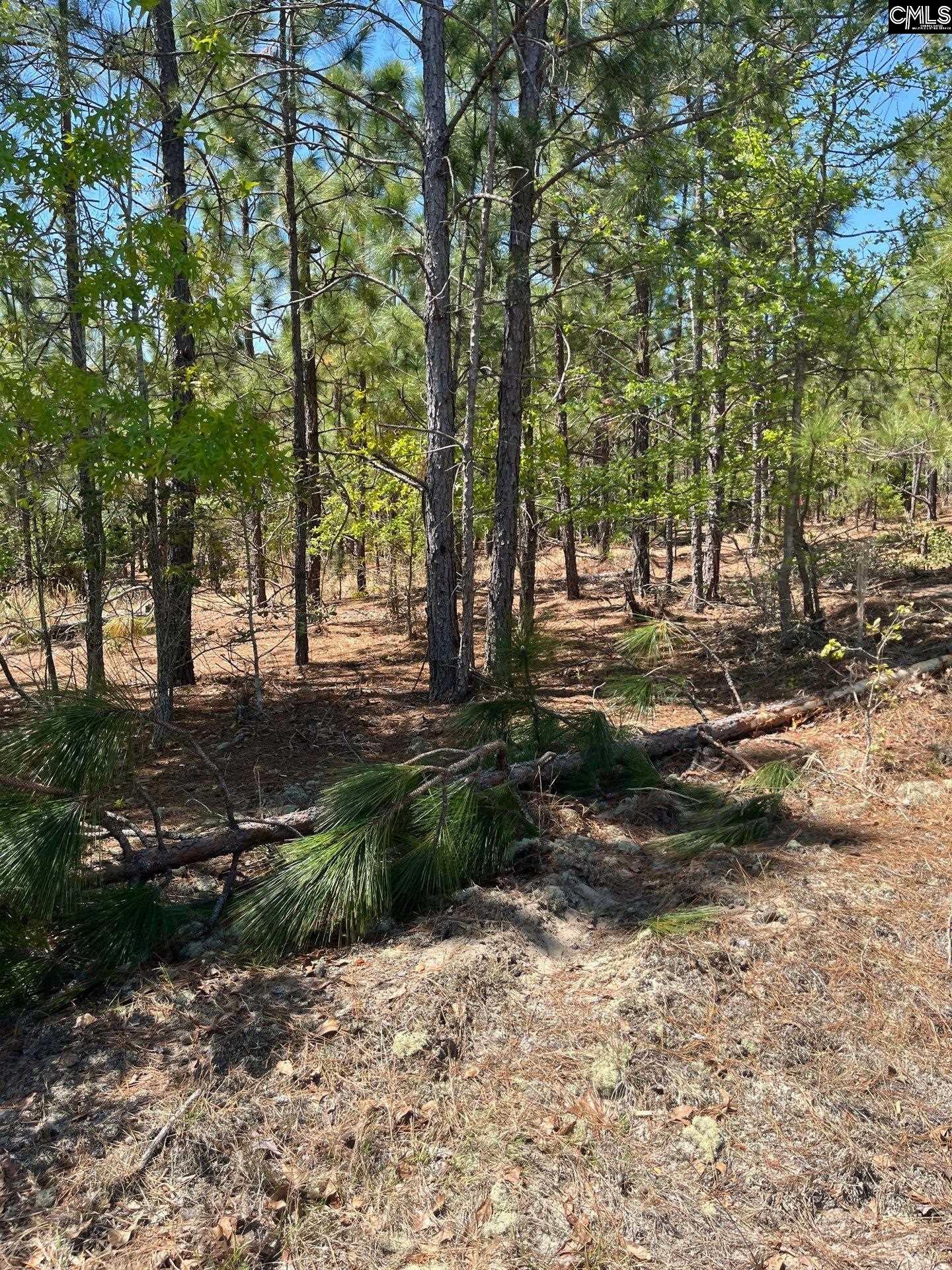 2 Beaver Dam Road Cassatt, SC 29032 - Photo 4 of 9