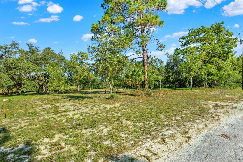 0 Condor Road Brooksville, FL 34614 - Photo 2 of 19
