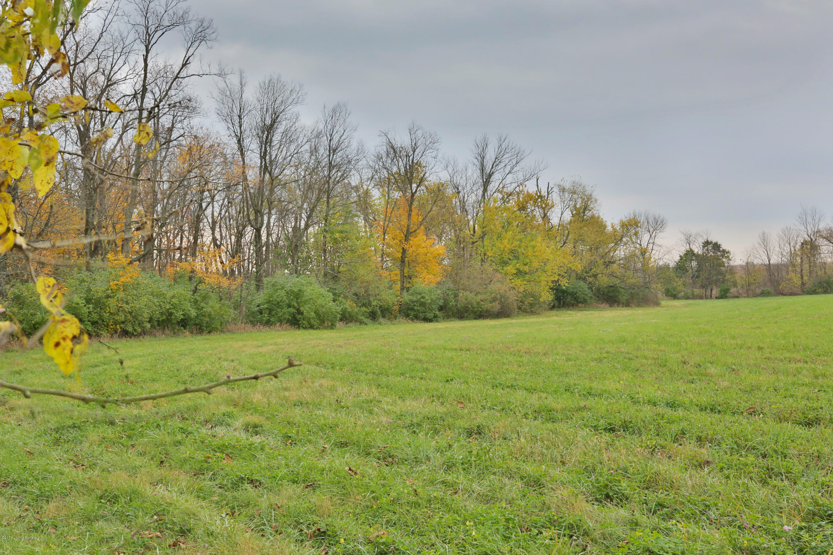 1 Ellis Road Eminence, KY 40019 - Photo 12 of 17 fall-colors