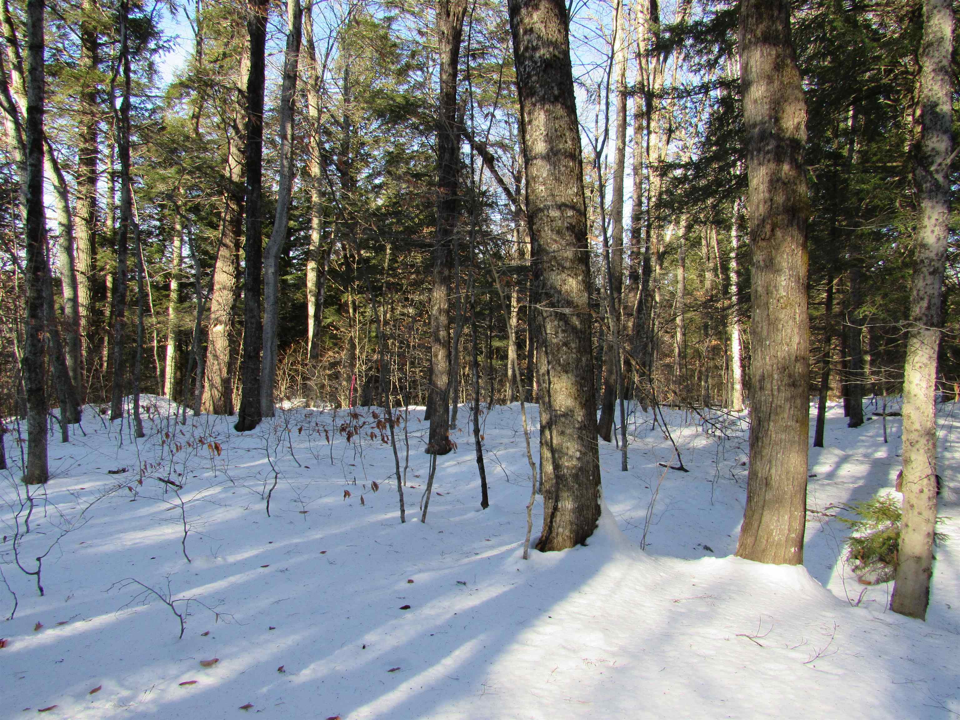 0 Lower Taylor Hill Road Winhall, VT 05340 - Photo 11 of 16