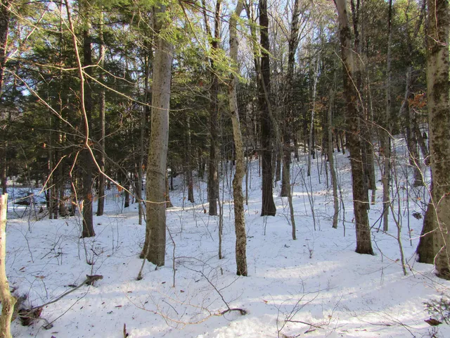 $139,000 | 0 Lower Taylor Hill Road, Winhall, VT 05340