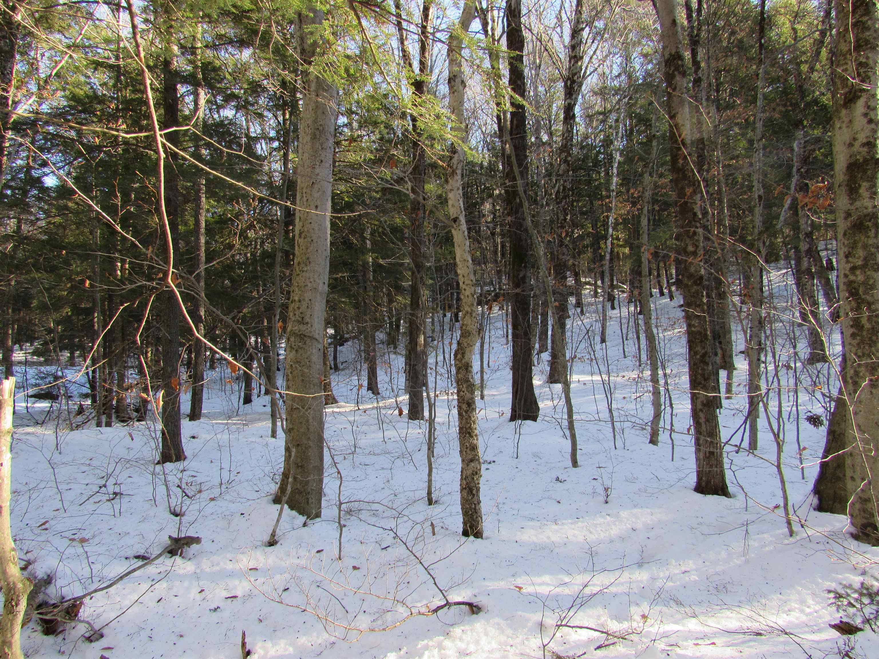 0 Lower Taylor Hill Road Winhall, VT 05340 - Photo 12 of 16