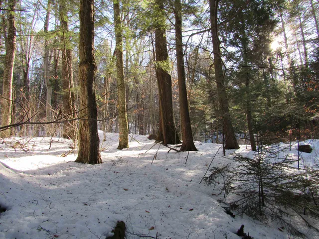 $139,000 | 0 Lower Taylor Hill Road, Winhall, VT 05340