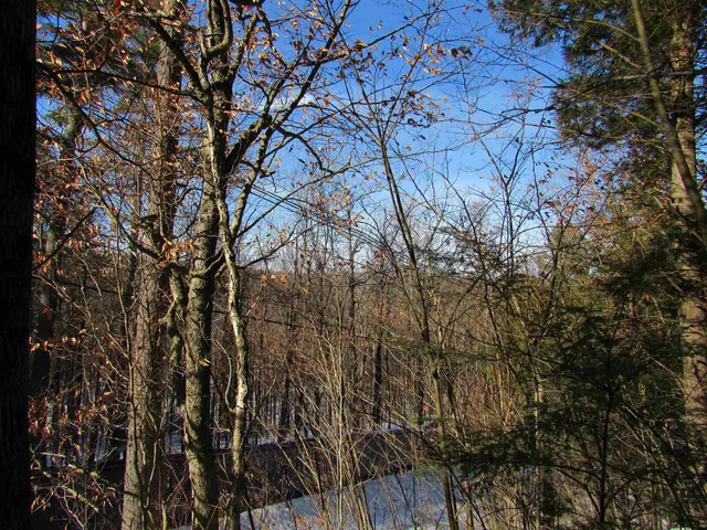 $139,000 | 0 Lower Taylor Hill Road, Winhall, VT 05340