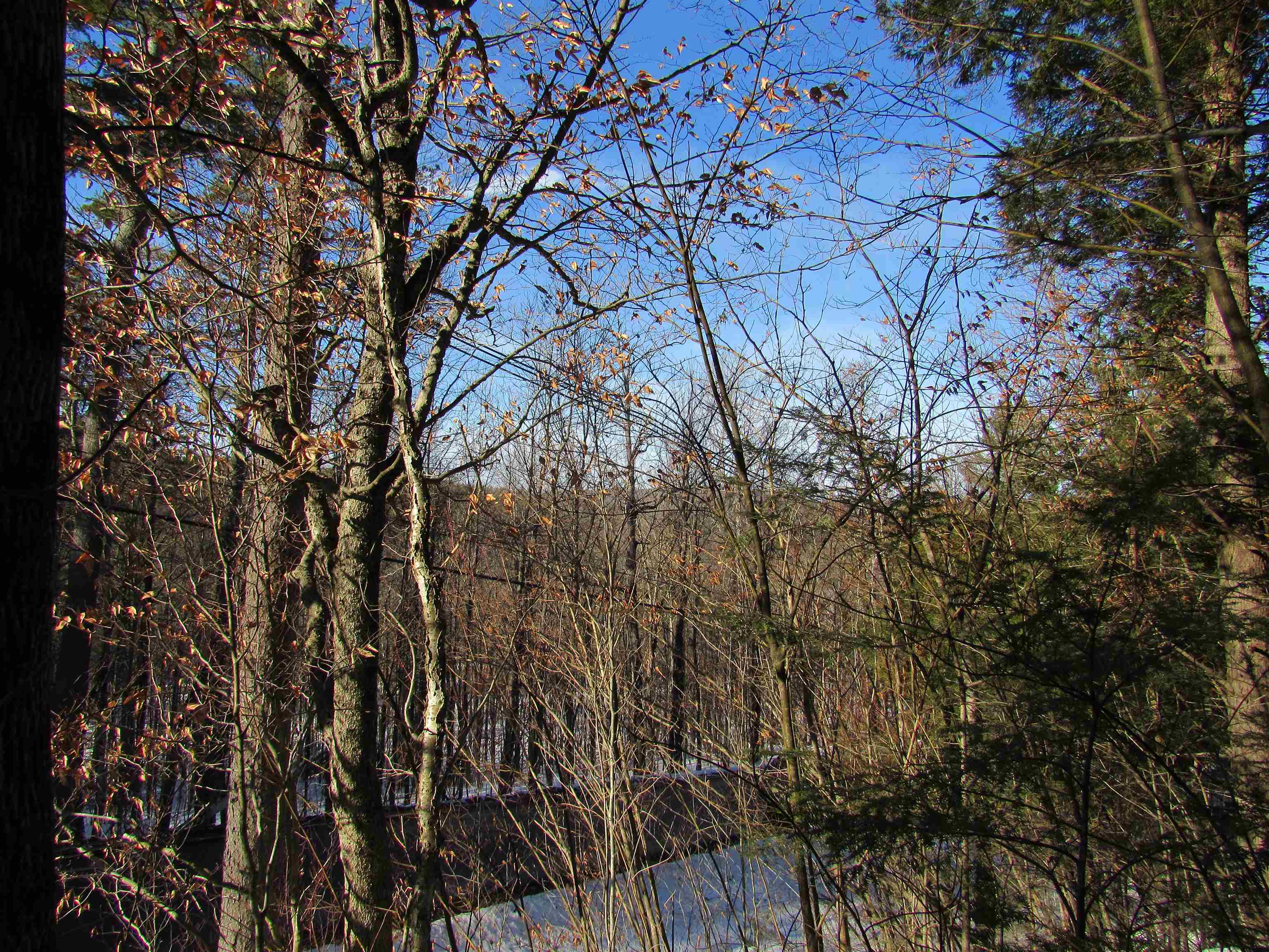 0 Lower Taylor Hill Road Winhall, VT 05340 - Photo 14 of 16