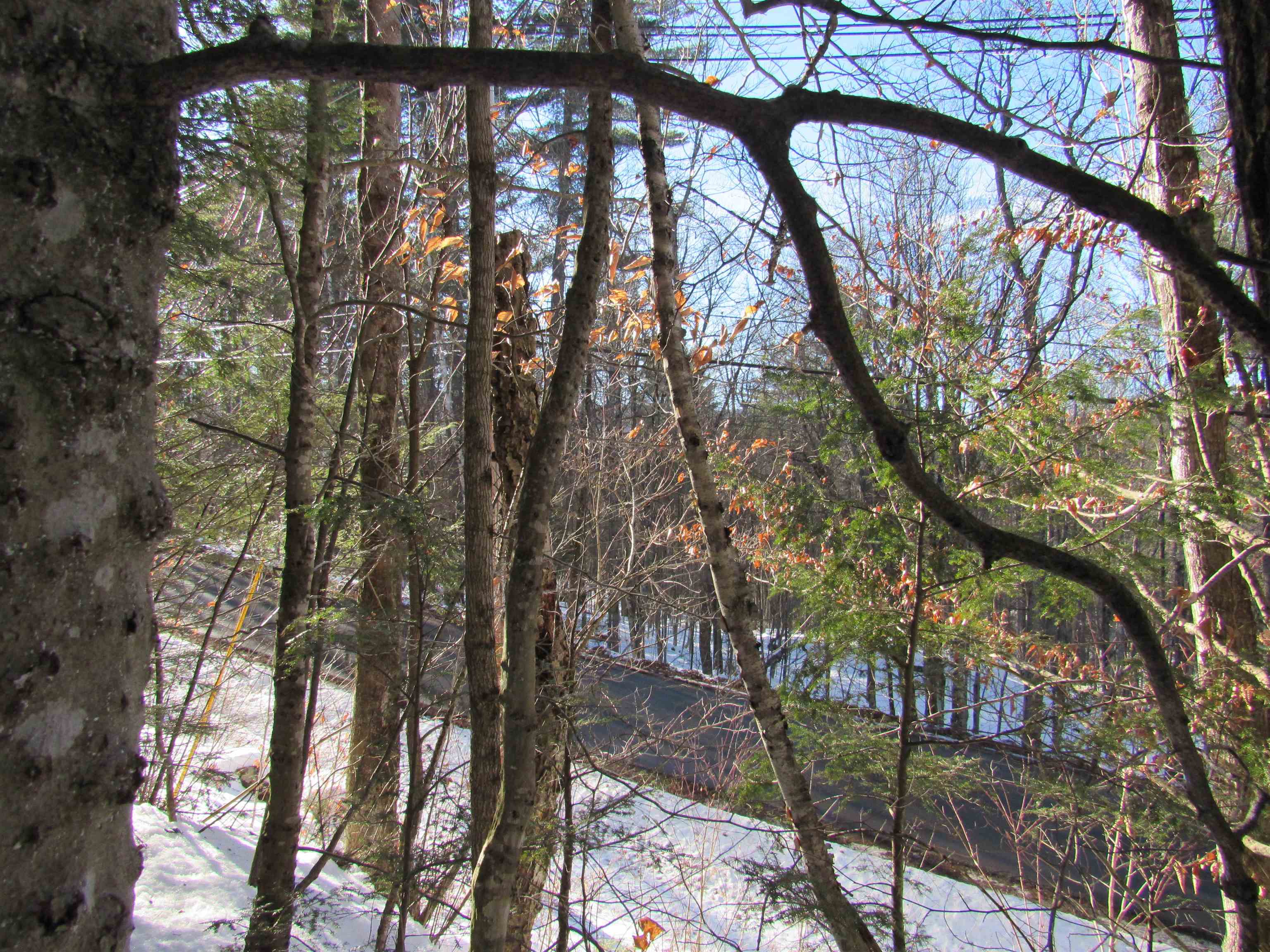 0 Lower Taylor Hill Road Winhall, VT 05340 - Photo 15 of 16