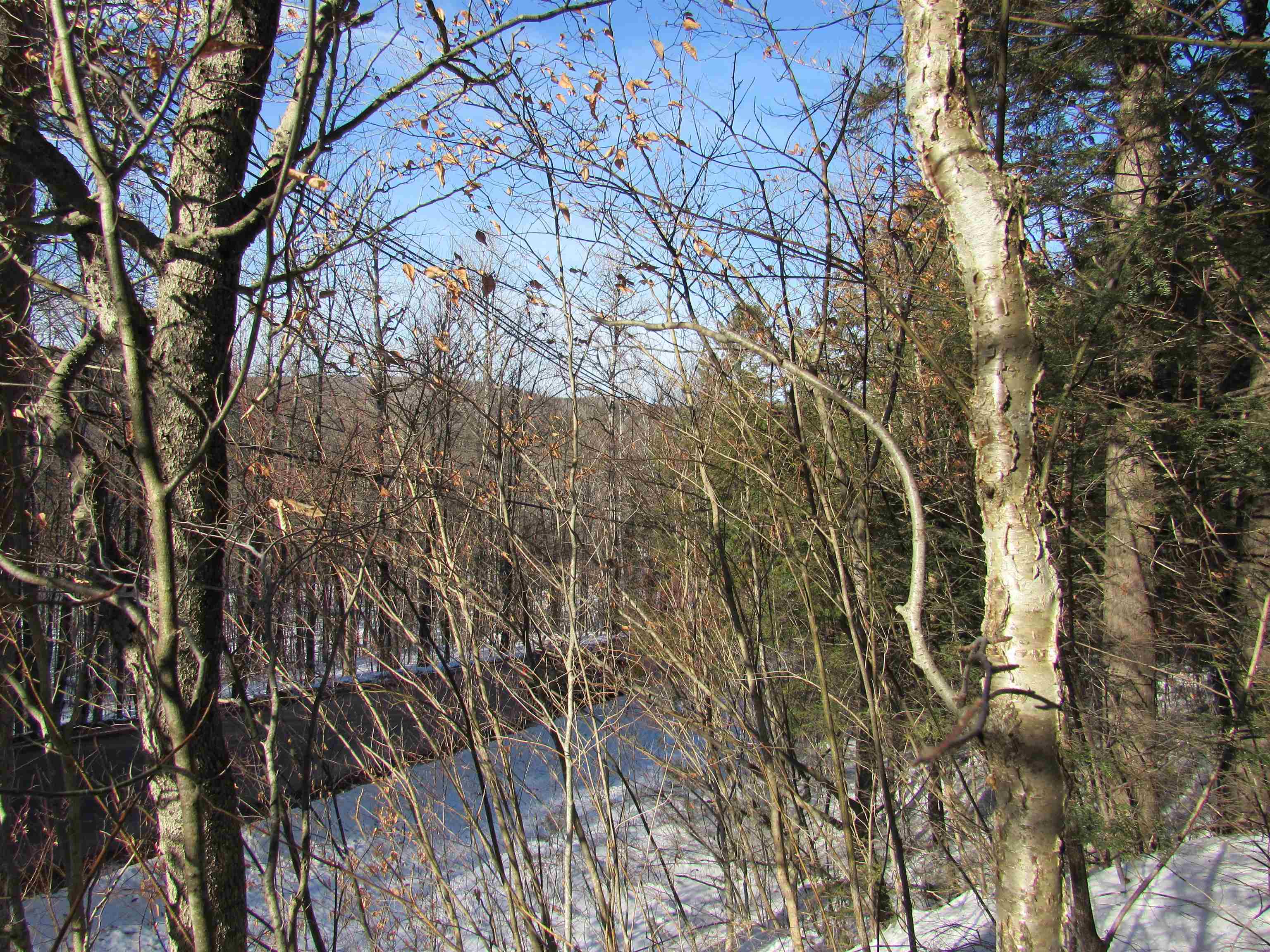 0 Lower Taylor Hill Road Winhall, VT 05340 - Photo 16 of 16