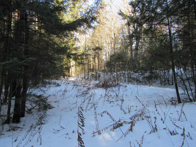 $139,000 | 0 Lower Taylor Hill Road, Winhall, VT 05340