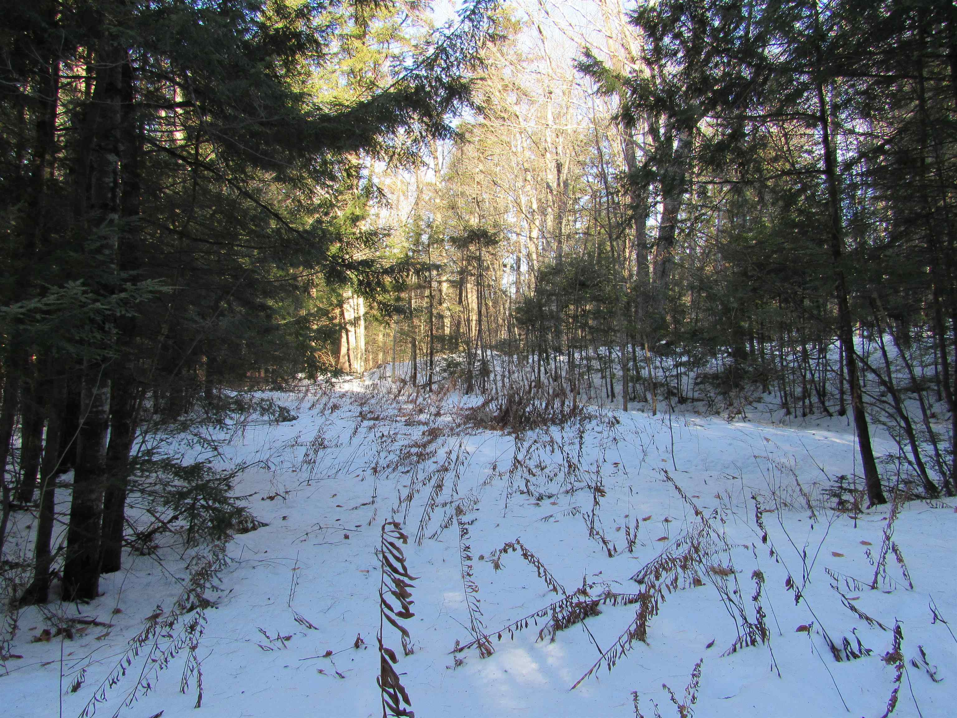 0 Lower Taylor Hill Road Winhall, VT 05340 - Photo 8 of 16