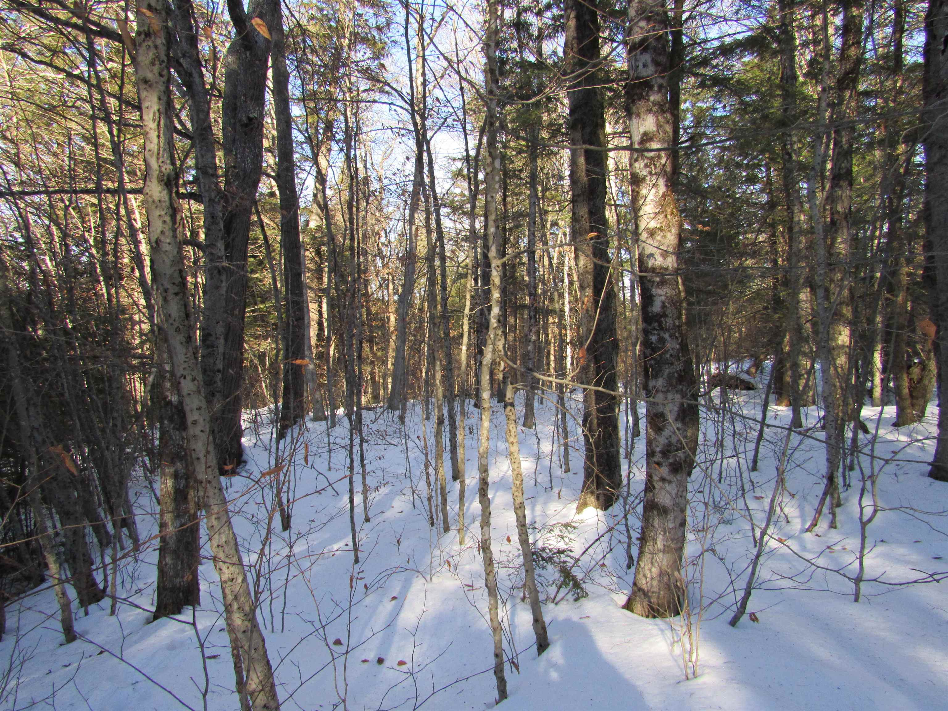 0 Lower Taylor Hill Road Winhall, VT 05340 - Photo 9 of 16