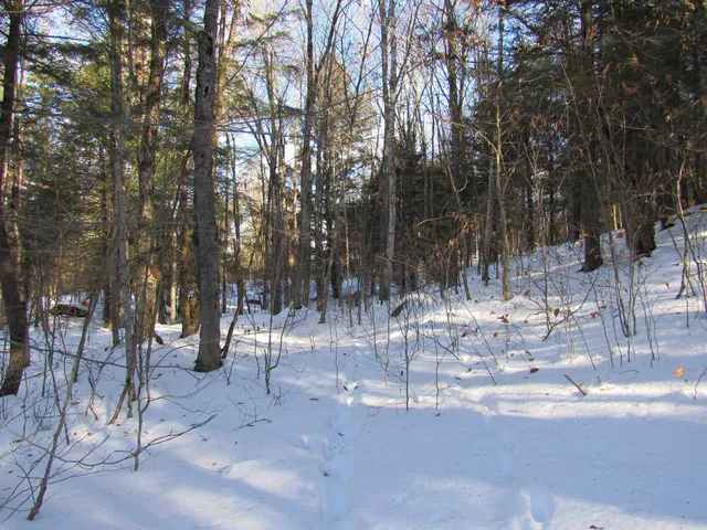 $139,000 | 0 Lower Taylor Hill Road, Winhall, VT 05340