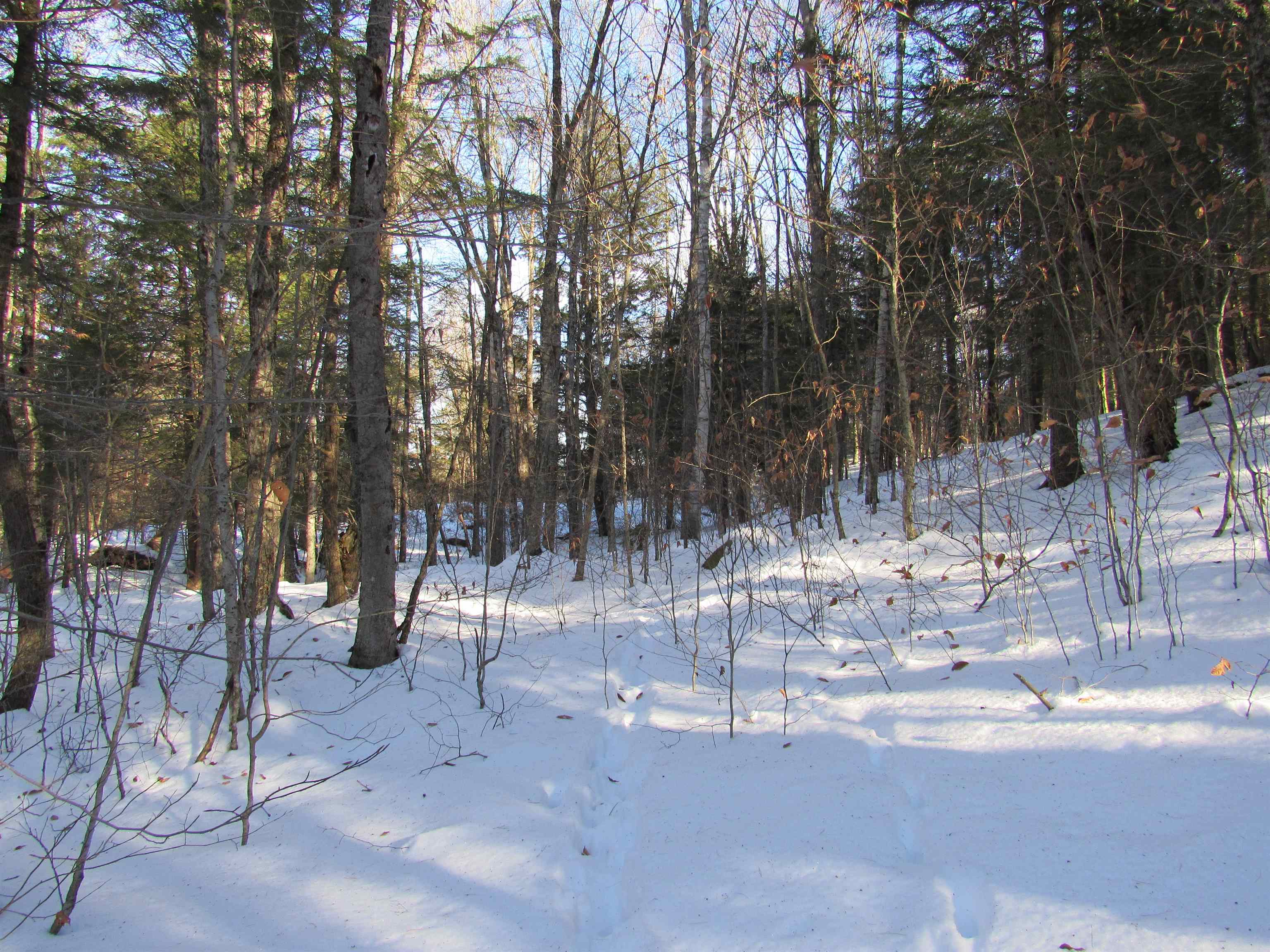 0 Lower Taylor Hill Road Winhall, VT 05340 - Photo 10 of 16