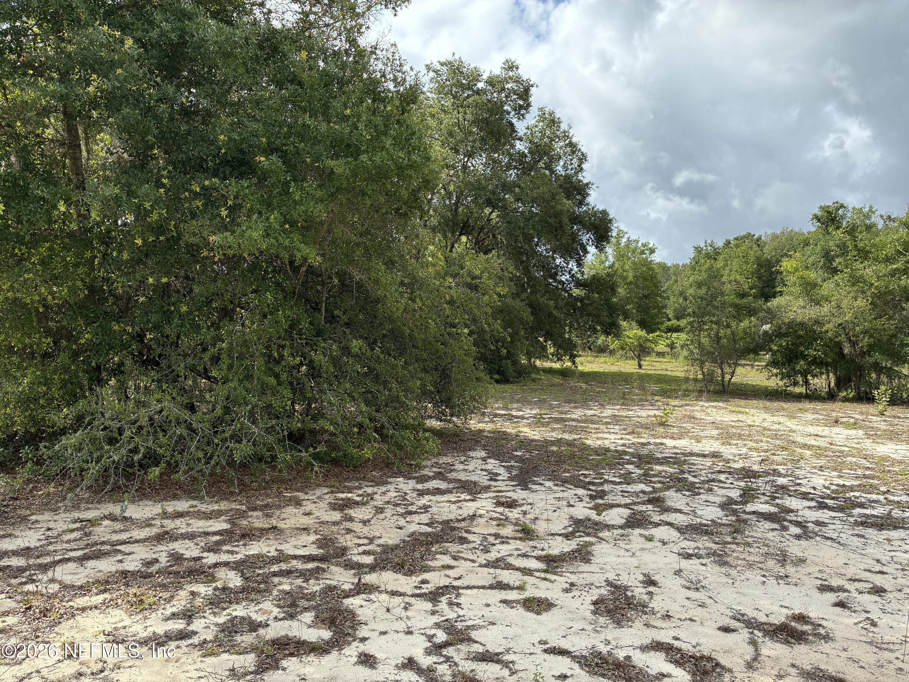 220 Chesser Monroe Road Hawthorne, FL 32640 - Photo 5 of 6 Kalantarov - 0220 Chesser Monroe Rd