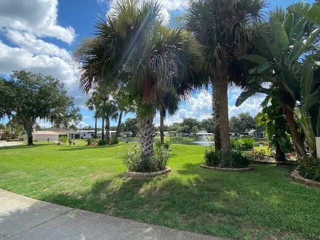 a view of a backyard with palm trees