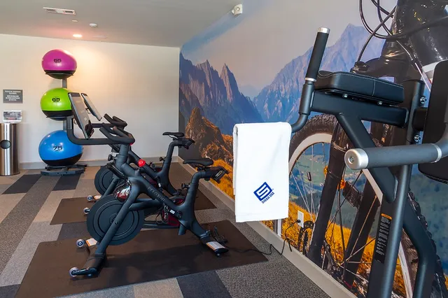 $1,795 | 1724 Partnership Way, Unit 1361, Katy, TX 77449