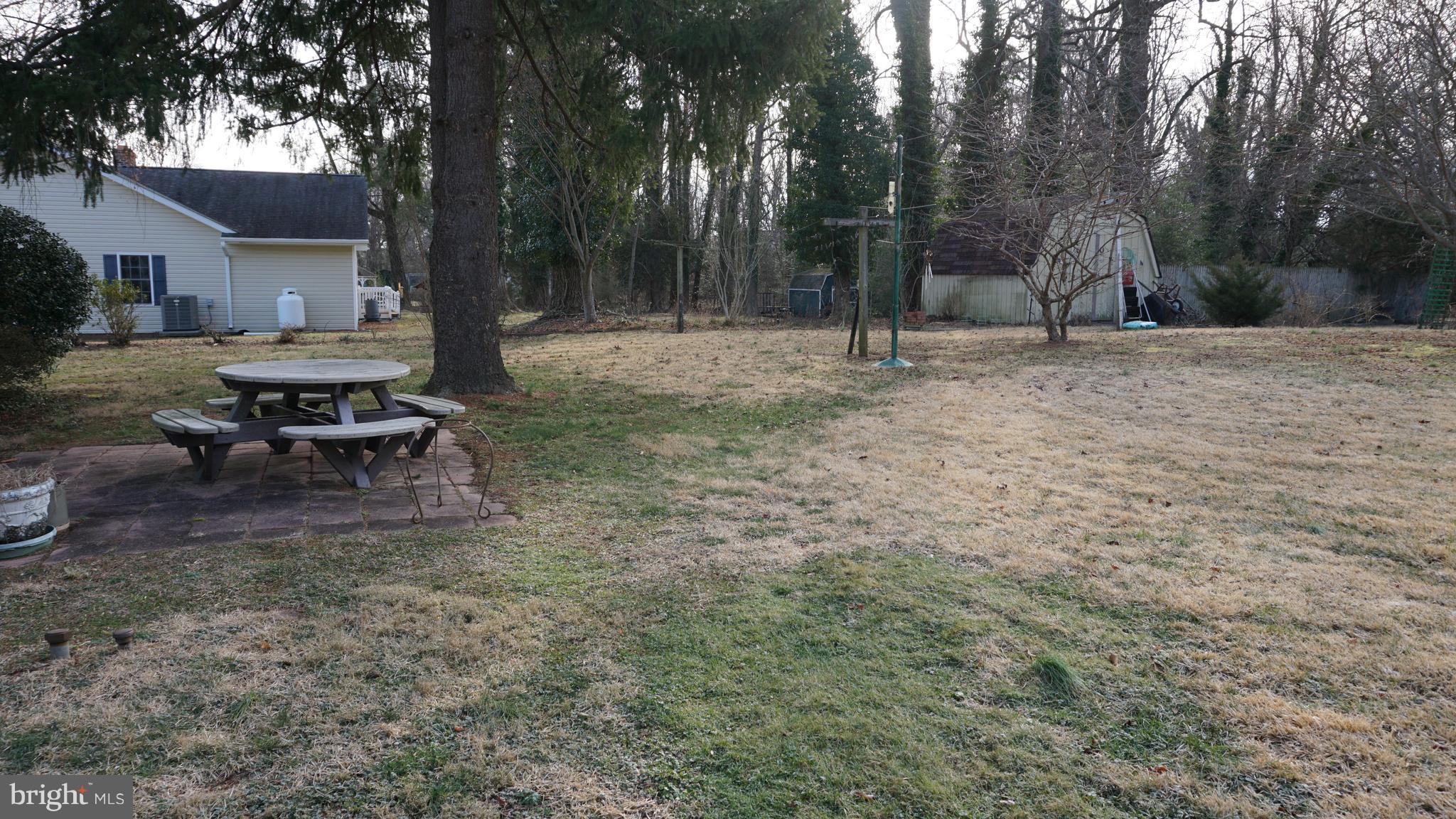 45927 Rolling Road Lexington Park, MD 20653 - Photo 26 of 31 a view of backyard with trees