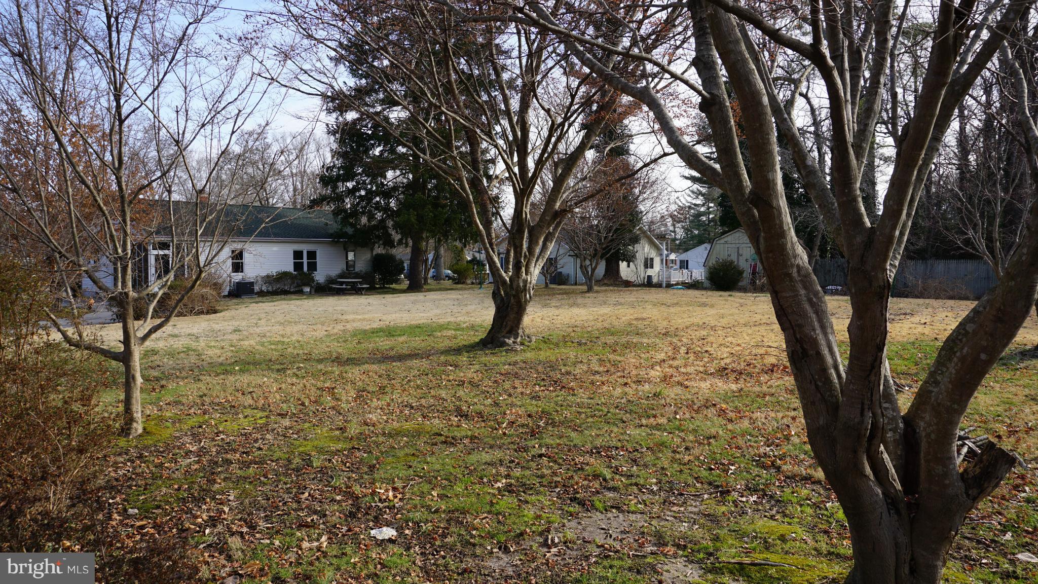 45927 Rolling Road Lexington Park, MD 20653 - Photo 28 of 31 a view of a yard with trees