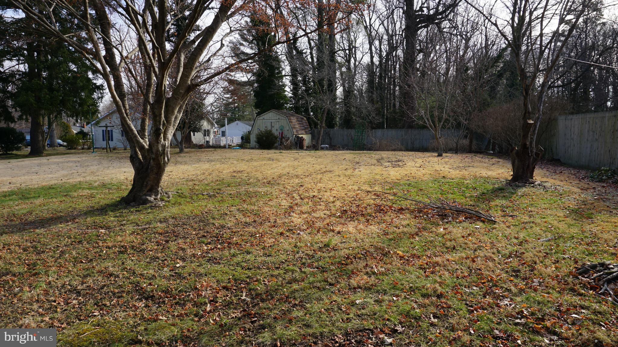 45927 Rolling Road Lexington Park, MD 20653 - Photo 30 of 31 a view of backyard with tree