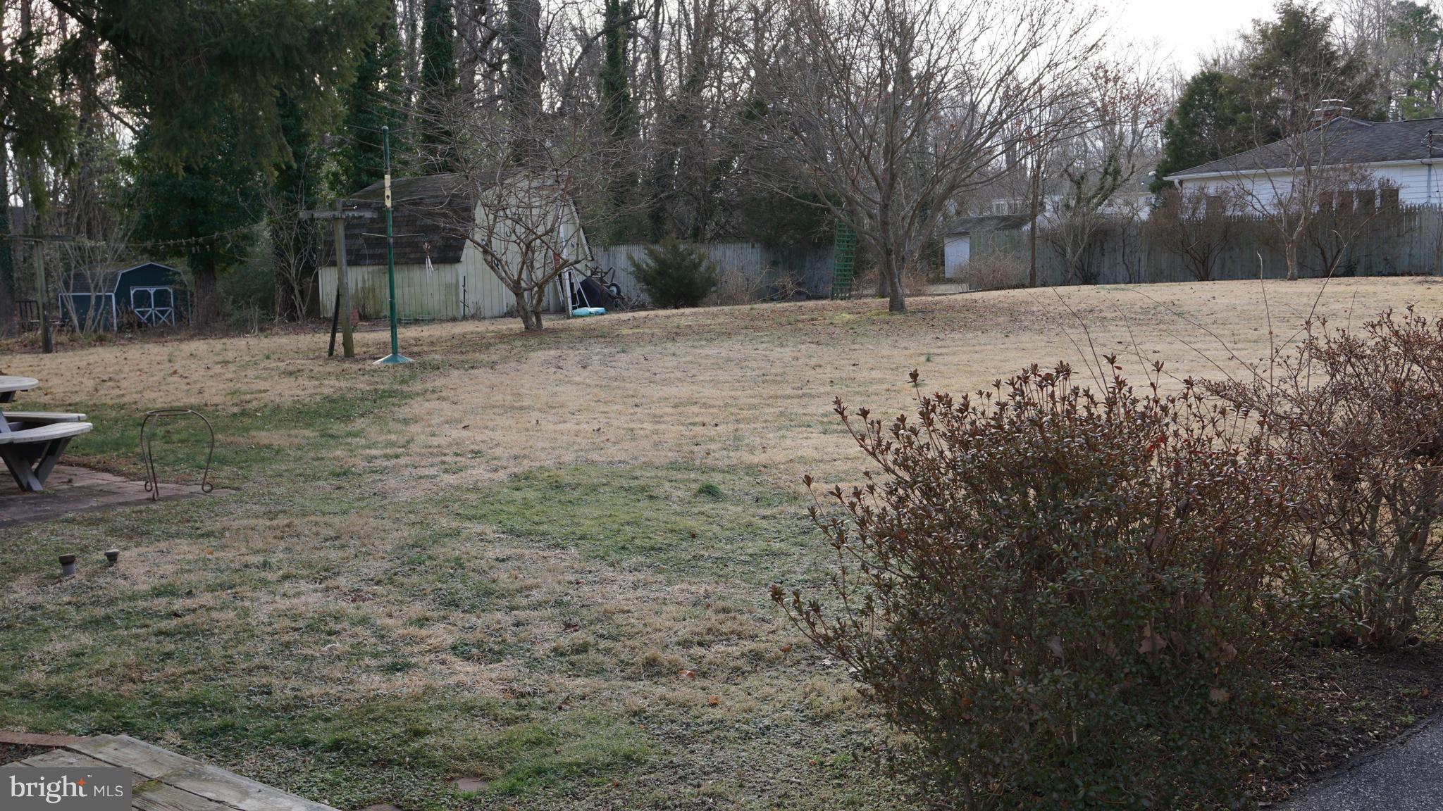 45927 Rolling Road Lexington Park, MD 20653 - Photo 4 of 31 a view of outdoor space with trees