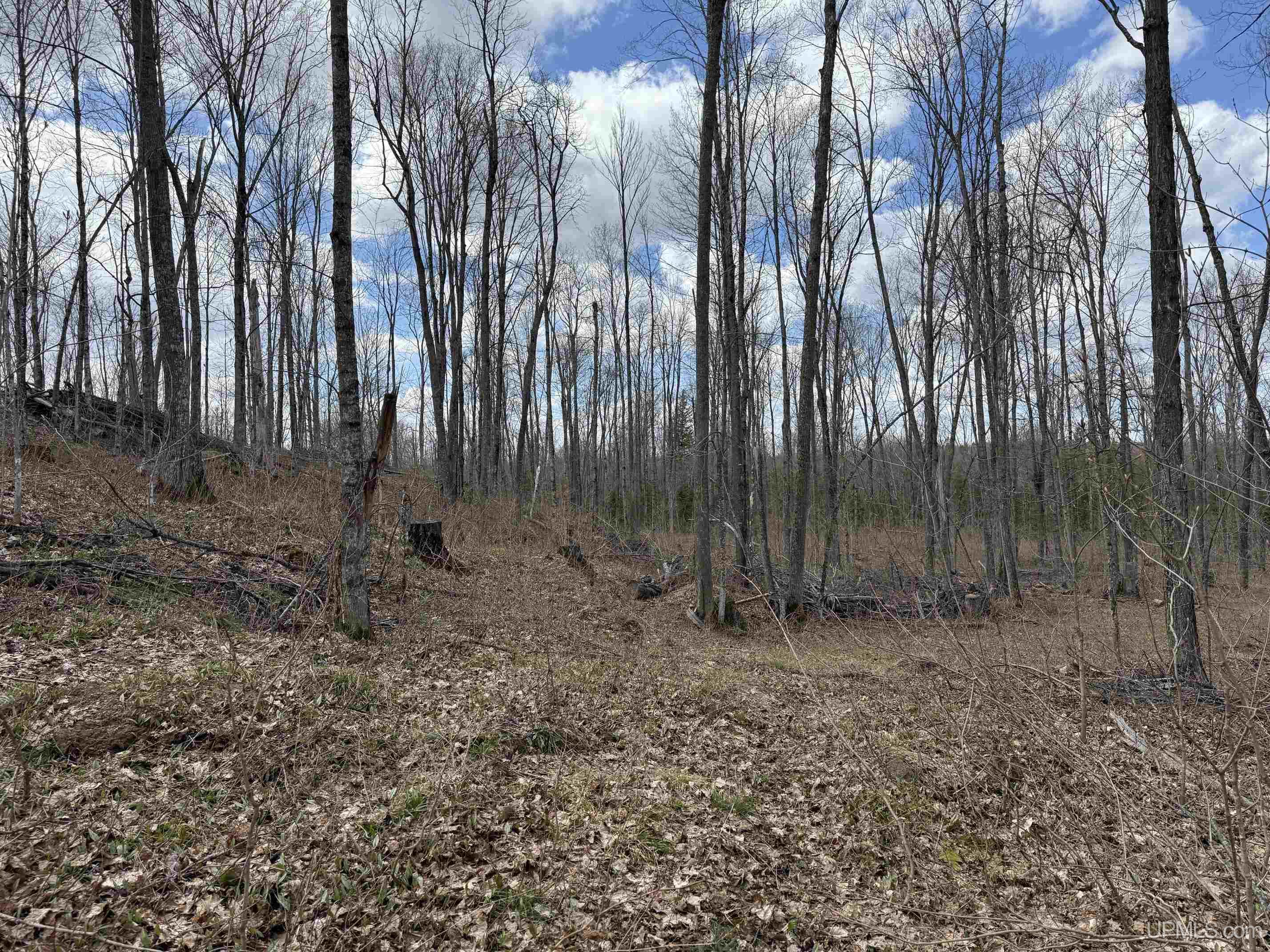 Tbdne Dog Patch Road Lanse, MI 49946 - Photo 14 of 23