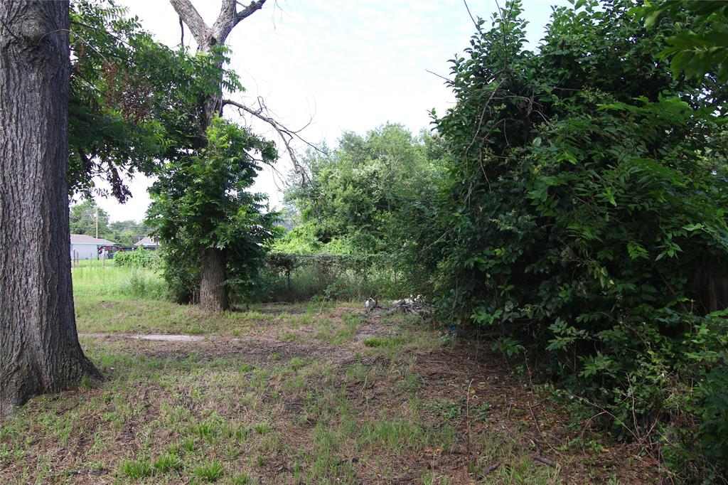 1508 Witt Street Waco, TX 76704 - Photo 31 of 37 View of yard