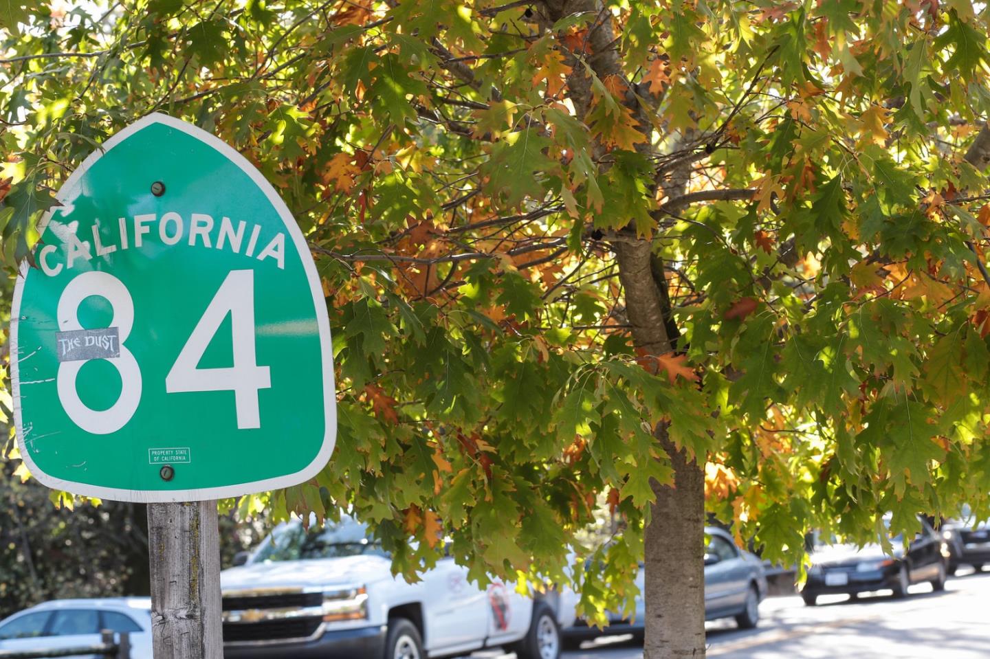 385 Moore Road Woodside, CA 94062 - Photo 24 of 25 a view of a back yard