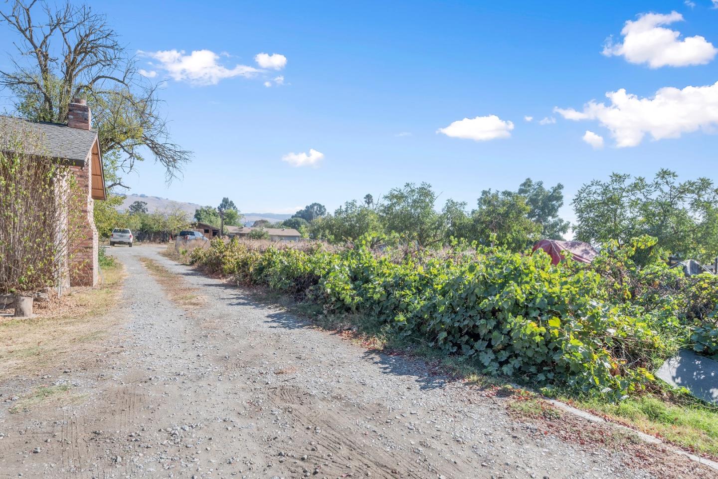10650 Center Avenue Gilroy, CA 95020 - Photo 2 of 5 a view of a yard with plants and a building