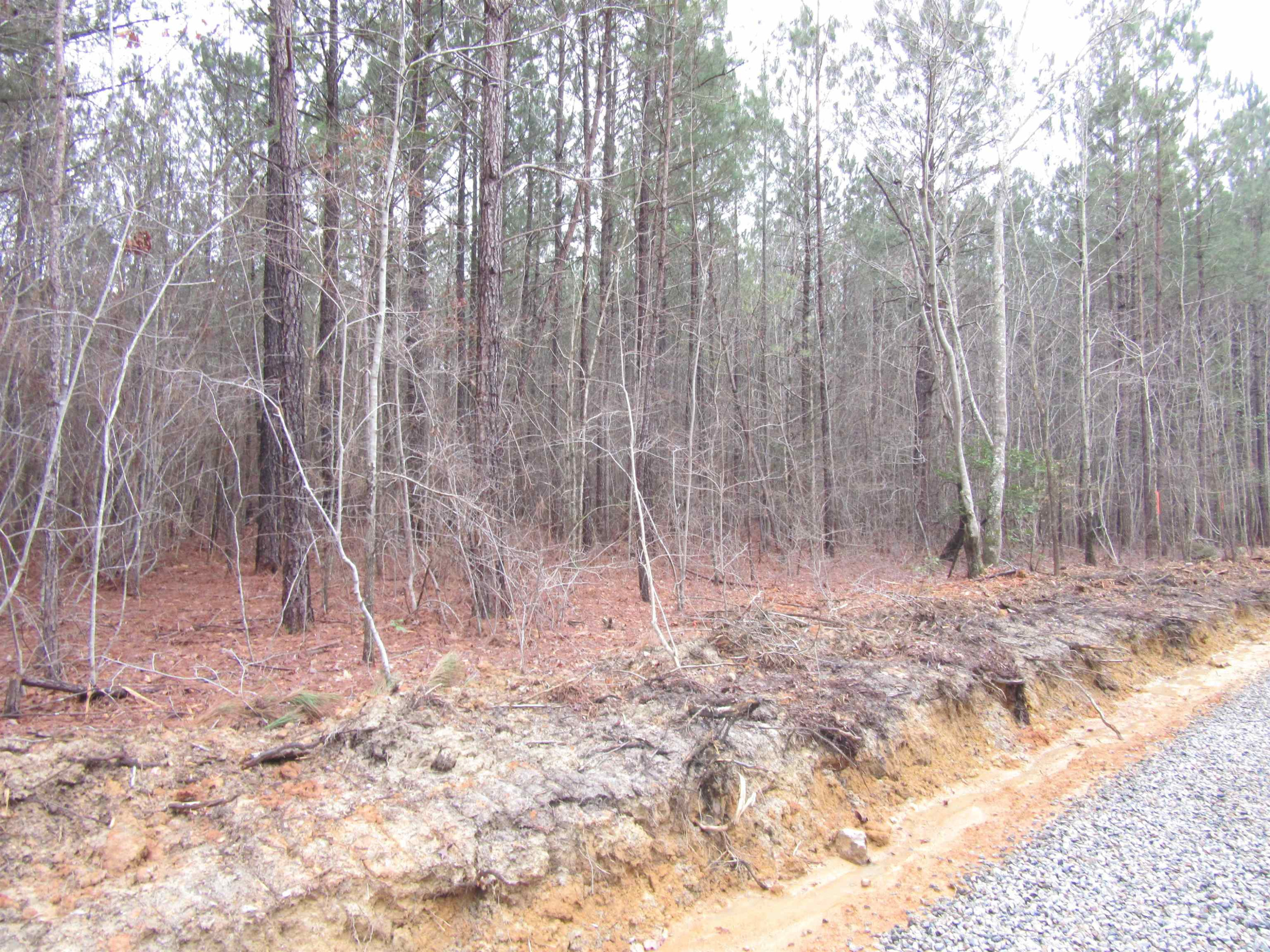 5 Nc 231 Hwy Spring Spring Hope, NC 27882 - Photo 1 of 4 Photo 1