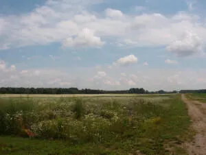 $160,000 | 2150 17 Mile Road, Kent City, MI 49330