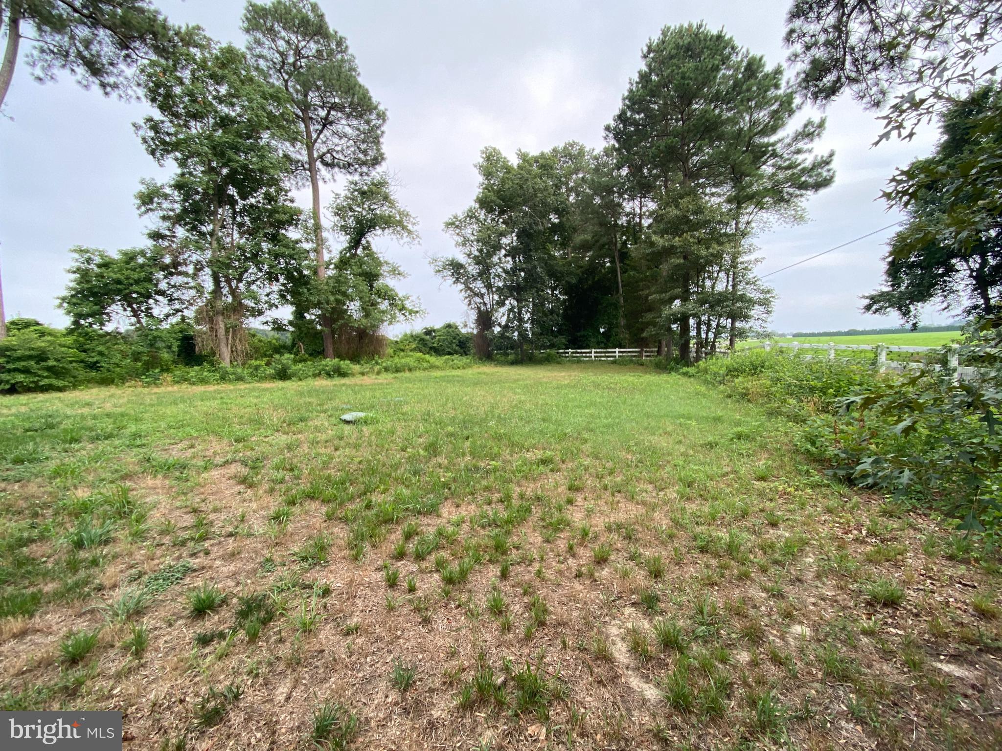 24294 Reynolds Pond Road Milton, DE 19968 - Photo 4 of 30 Side Yard