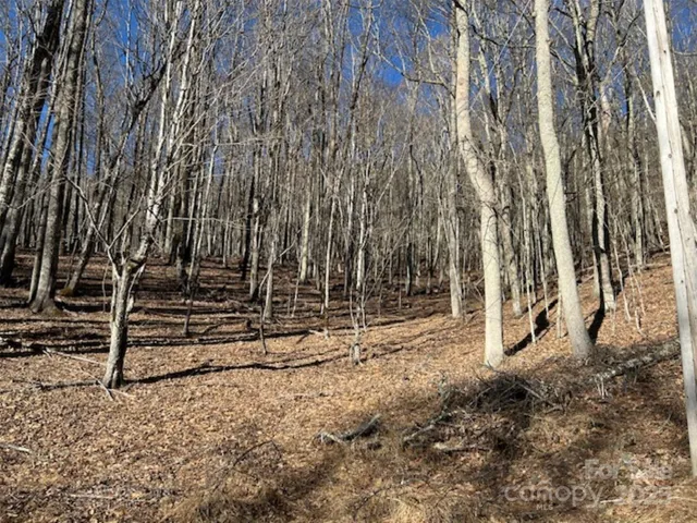 a view of outdoor space with wooden fence