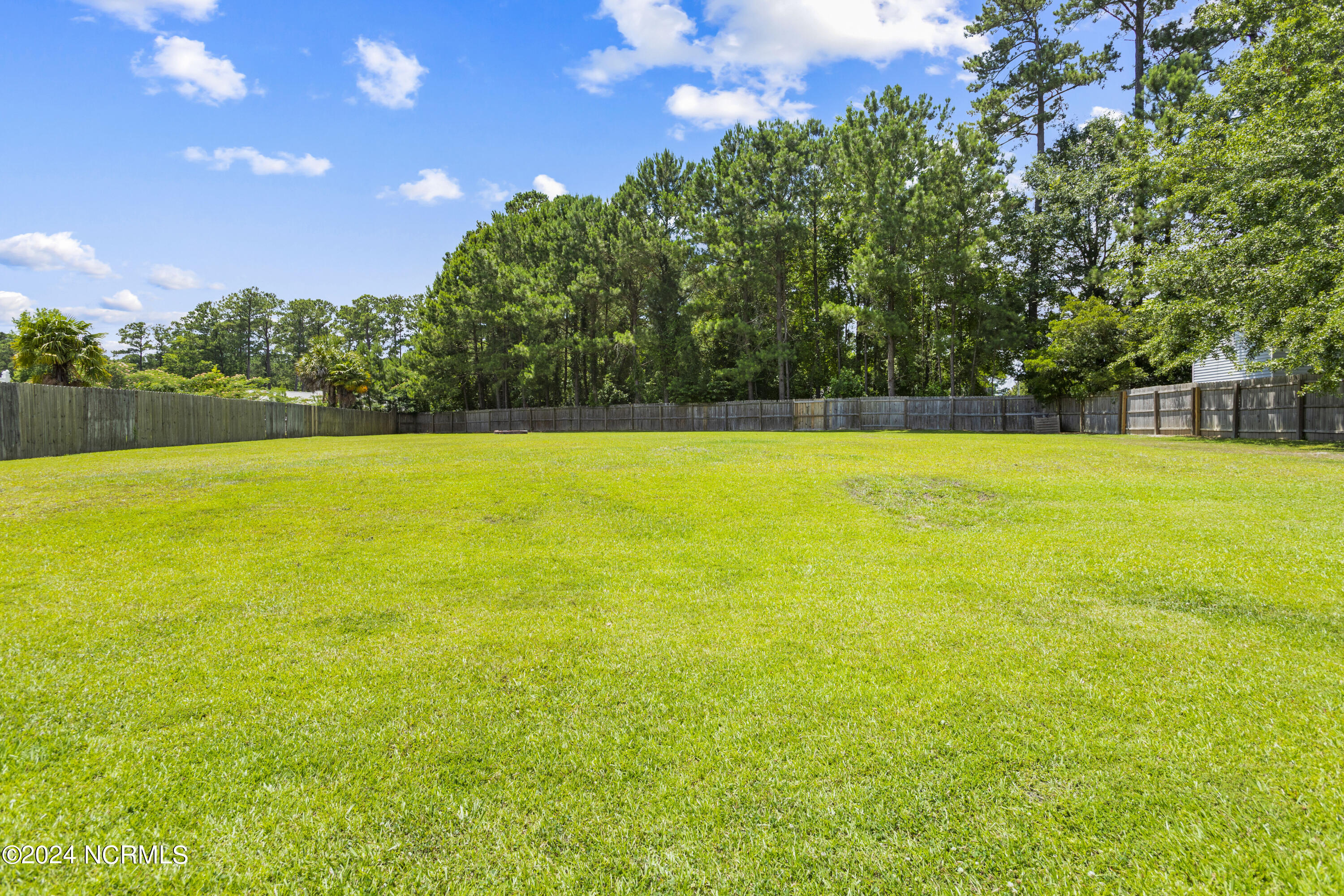 411 Southbridge Drive Jacksonville, NC 28546 - Photo 23 of 25 25
