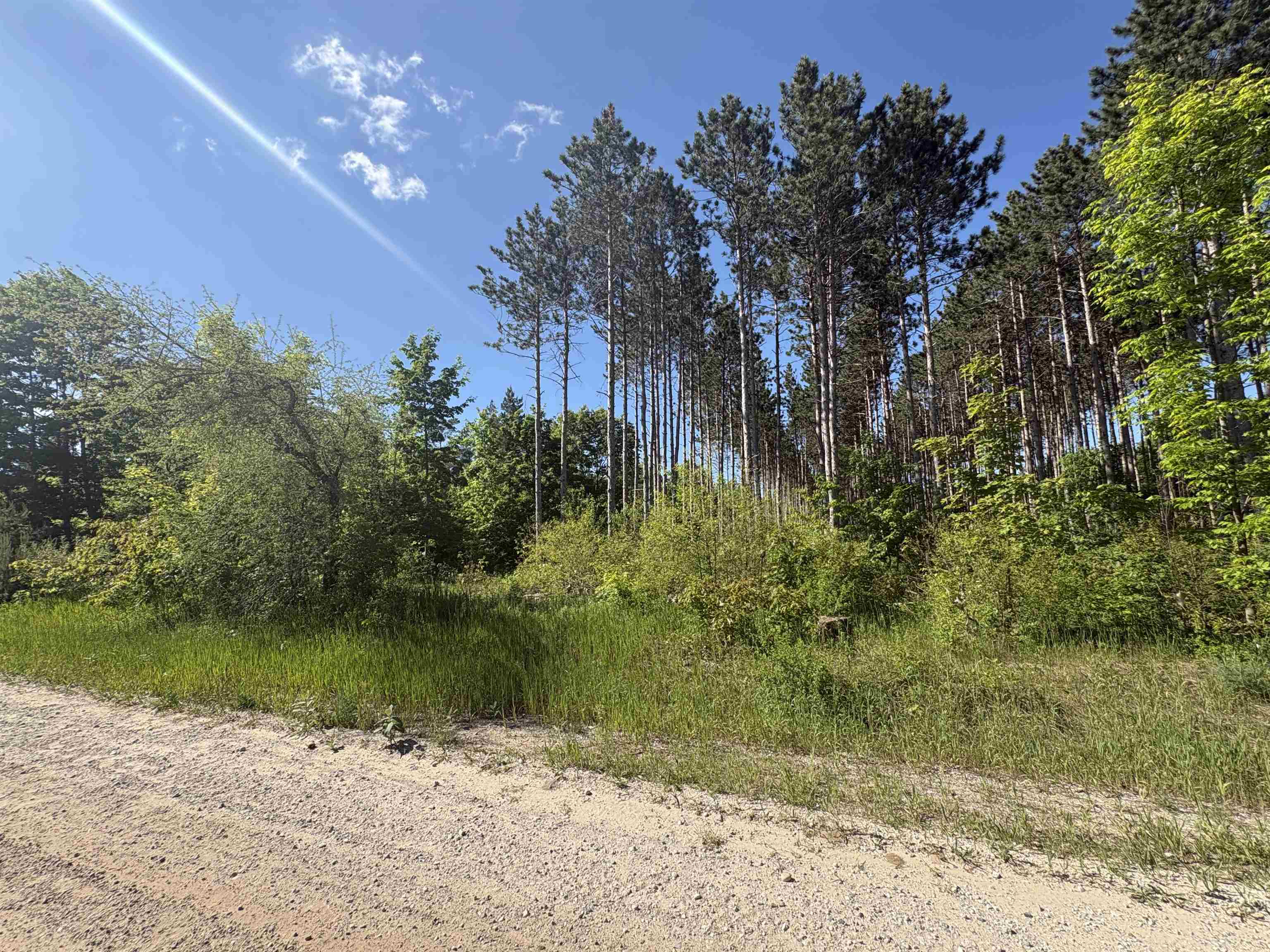 Parcel E St Johns Road Interlochen, MI 49643 - Photo 4 of 11