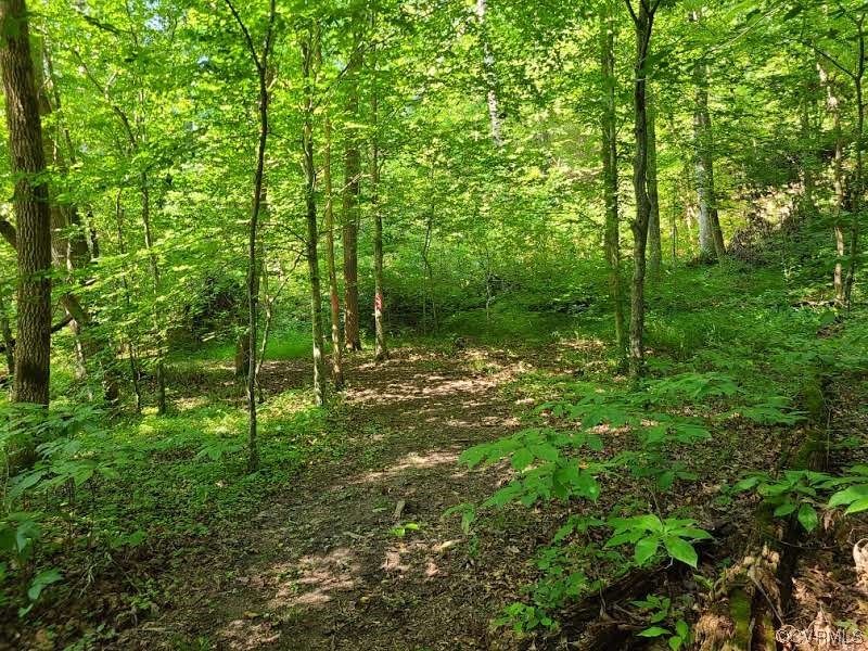 Tbd Tomlinson Road Victoria, VA 23974 - Photo 18 of 50 a big yard with lots of green space and deers