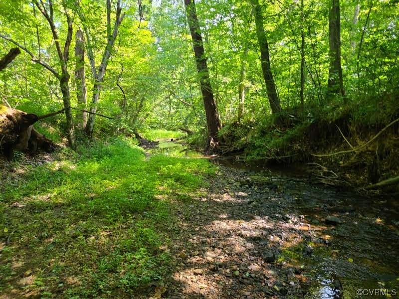 Tbd Tomlinson Road Victoria, VA 23974 - Photo 24 of 50 a view of forest
