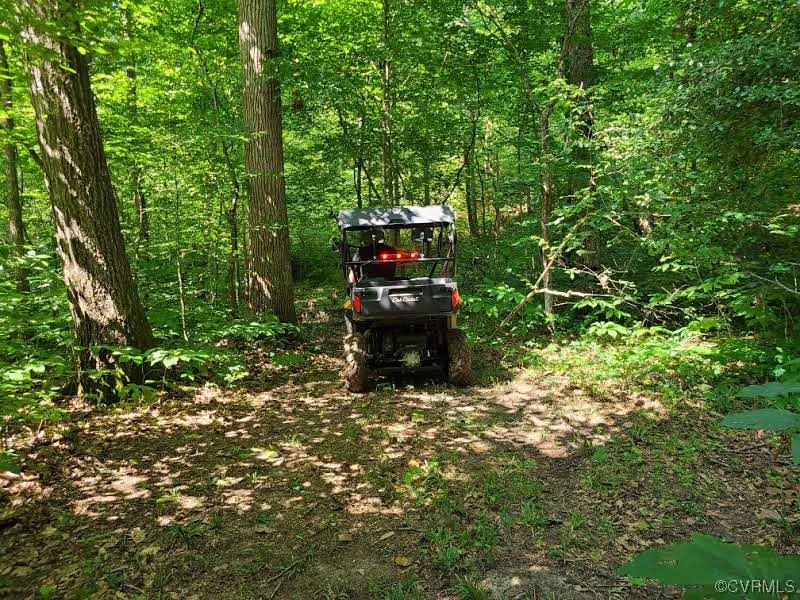 Tbd Tomlinson Road Victoria, VA 23974 - Photo 26 of 50